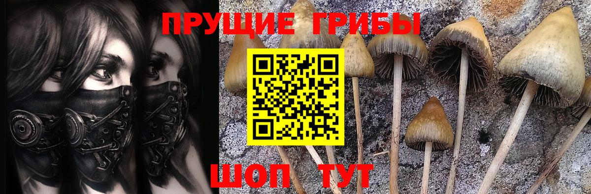 Псилоцибиновые грибы ЛСД  Галлюциногенные грибы Psilocybe  Заволжье  Вход с VPN 