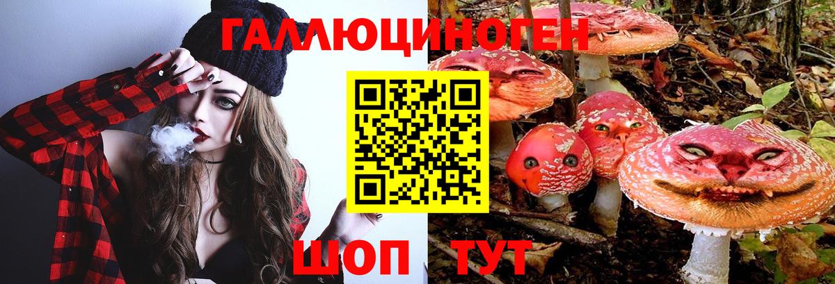 Галлюциногенные грибы Psilocybine cubensis Заволжье